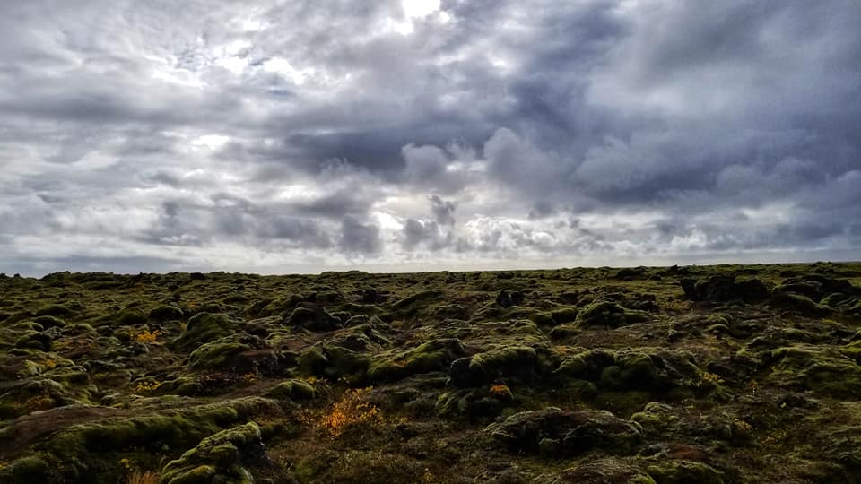 42143647_10155640212021466_4353697383180140544_n